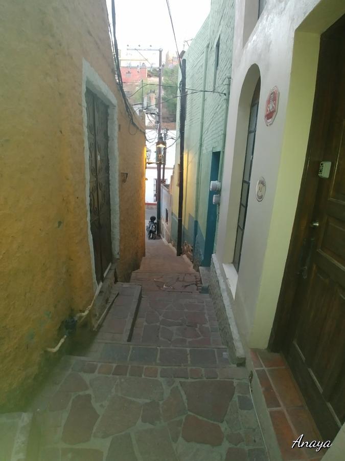 Hotel Las Alamedas Guanajuato Bagian luar foto
